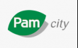 Pam city