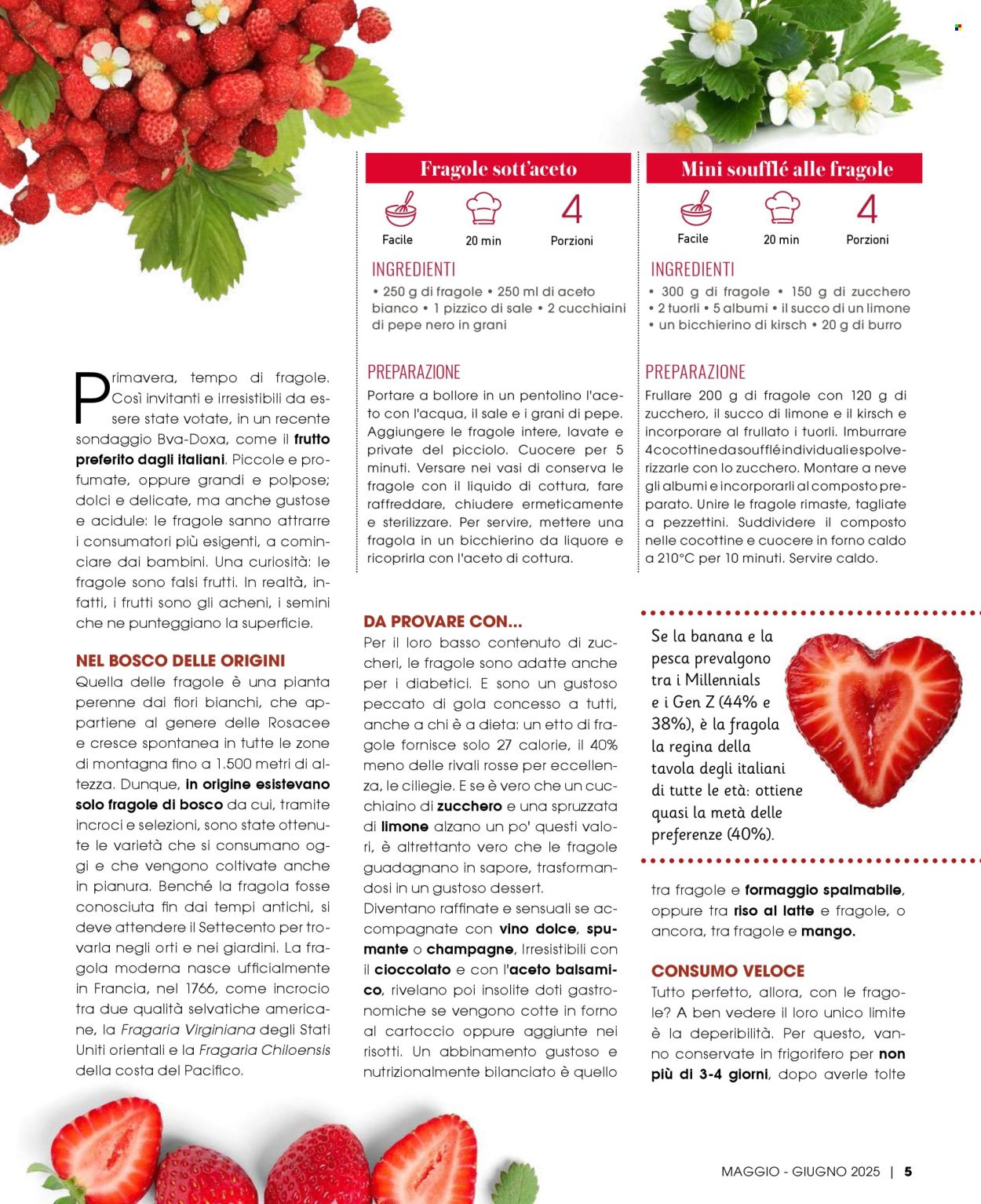 Volantino Pan - 1.5.2025 - 30.6.2025.