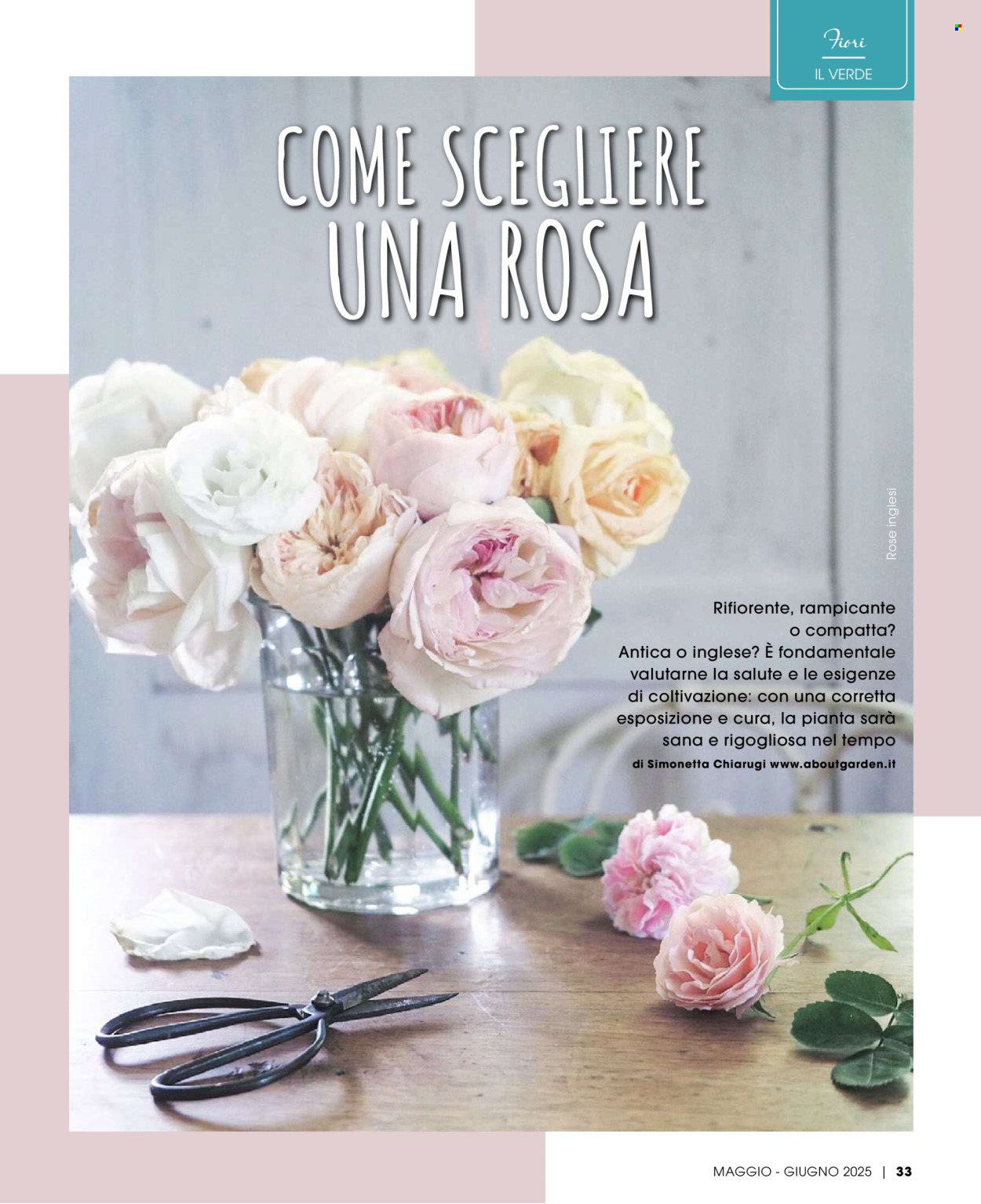 Volantino Pan - 1.5.2025 - 30.6.2025.
