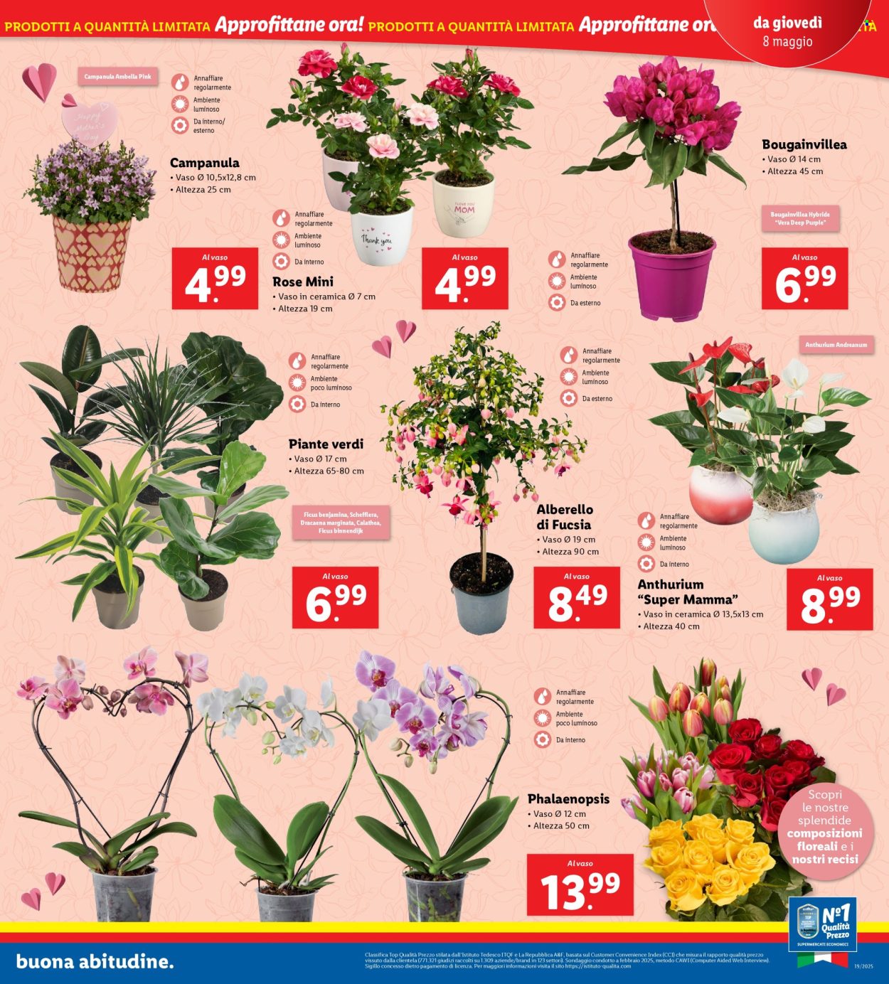 Volantino Lidl - 5.5.2025 - 11.5.2025.