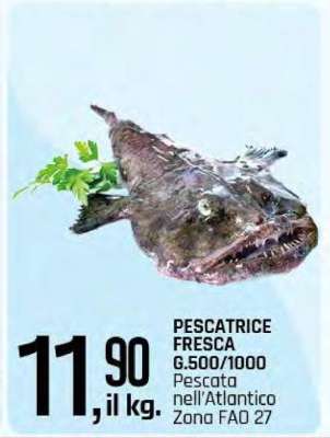 Pescatrice Fresca