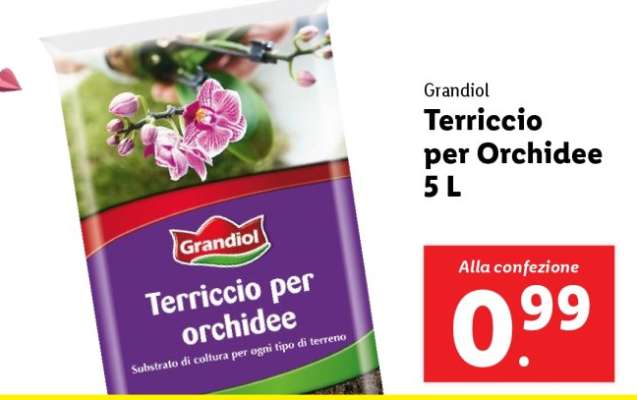 Grandiol Terriccio per Orchidee 5 L
