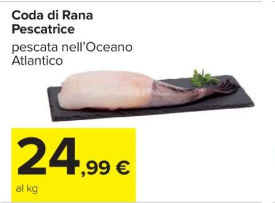 Coda di Rana Pescatrice