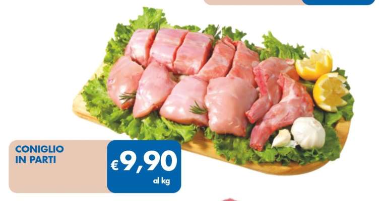 CONIGLIO IN PARTI