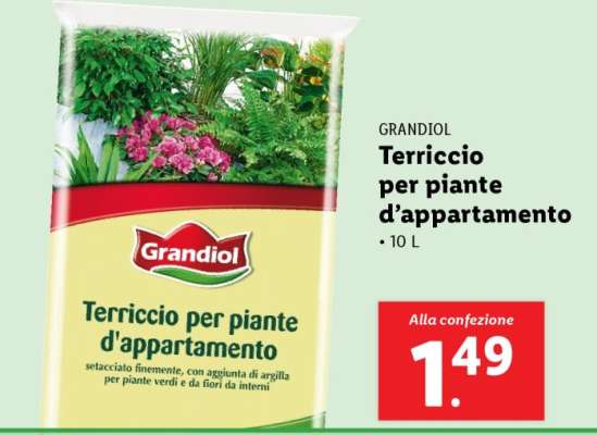 Grandiol Terriccio per piante d'appartamento