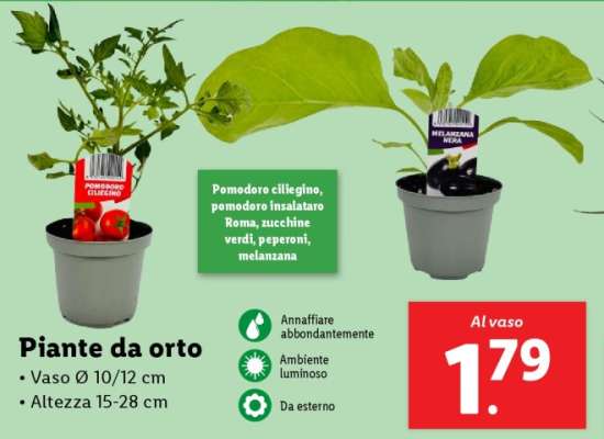 Piante da orto