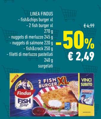 LINEA FINDUS